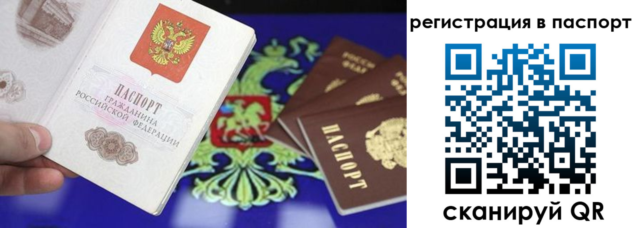 прописка для школы в Ардоне